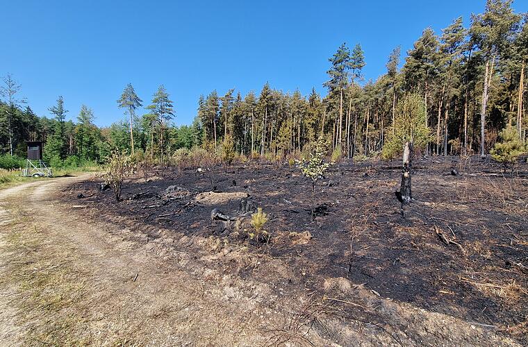 Waldbrand bei Oberhaid gelöscht: Acht Einsatzkräfte medizinisch versorgt