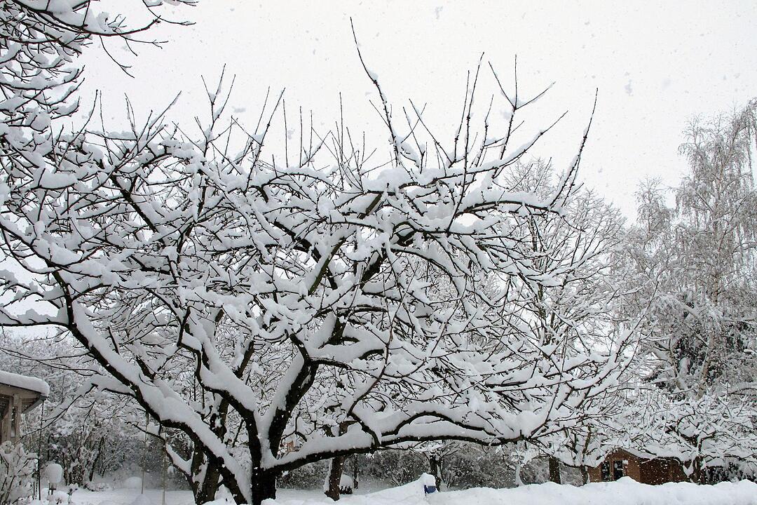 Fotos Konrad Thomann