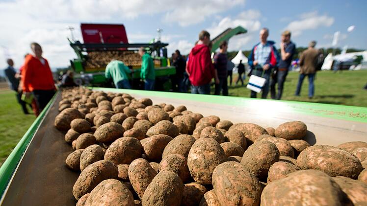 "Eine der kleinsten Kartoffelernten, die wir jemals in Deutschland hatten", erwartet die DLG für 2018. Deshalb dürfte der Kartoffelpreis bald  um bis zu 30 Prozent steigen.