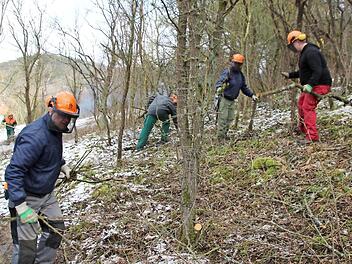 Derzeit werden für die Erweiterung des Baugebiets in Burghausen die Bäume und Sträucher entfernt. Foto: Thomas Malz