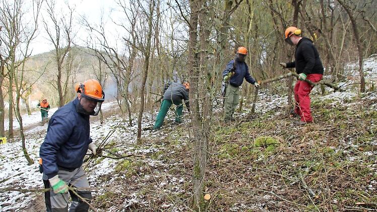 Derzeit werden für die Erweiterung des Baugebiets in Burghausen die Bäume und Sträucher entfernt. Foto: Thomas Malz