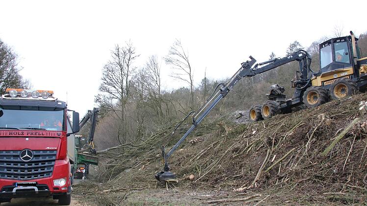 Derzeit laufen Rodungsarbeiten zwischen Kauerndorf und Untersteinach. Foto: Jürgen Gärtner