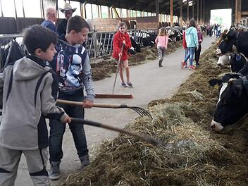 Tristan und Yannick helfen gerne beim Kühe füttern. Sie sind mit ihrer Klasse auf dem Bauernhof der Familie Jörg zu Besuch gewesen und hatten viele Spaß. Foto: Isabell Gerr