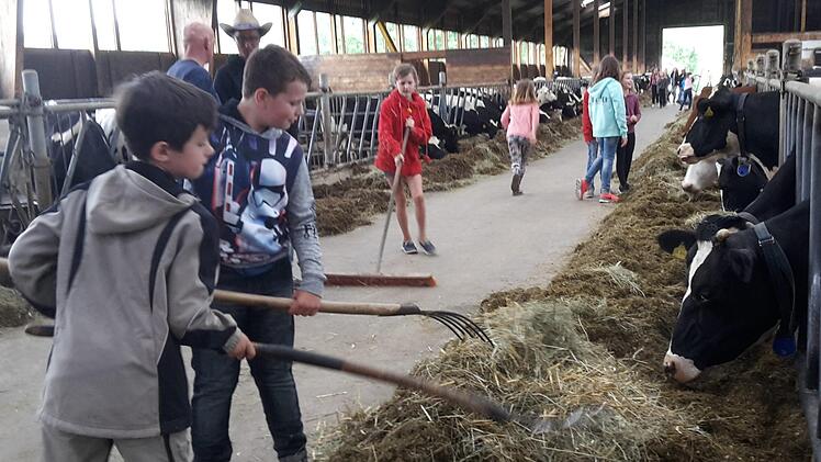 Tristan und Yannick helfen gerne beim Kühe füttern. Sie sind mit ihrer Klasse auf dem Bauernhof der Familie Jörg zu Besuch gewesen und hatten viele Spaß. Foto: Isabell Gerr