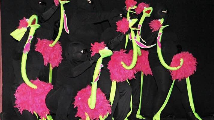 Die "Crazy Birds" aus Erlangen, die bei der Prunksitzung mit ihrer faszinierenden Schwarzlichtaufführung begeisterten.