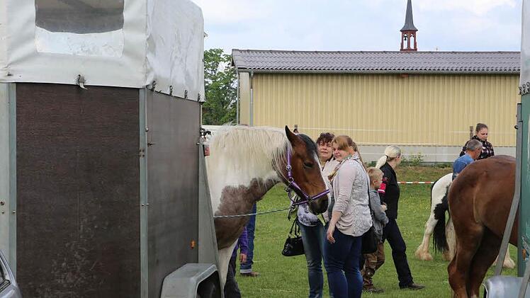 Foto: Barbara Herbst