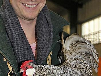 Nico Reimann mit einem seiner Hühner - einer gesperberten Henne. Insgesamt 600 Hühner sind übers Wochenende ausgestellt. Foto: privat