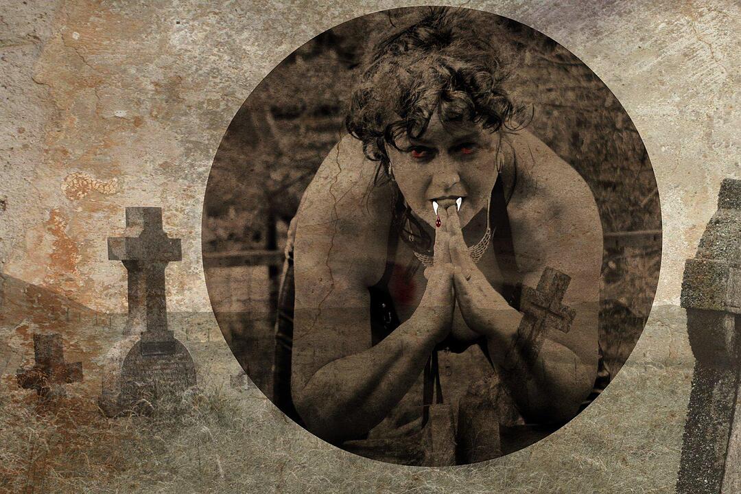 Leserbilder zu Halloween II