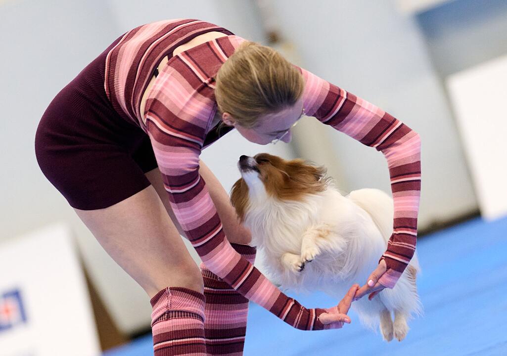 Meisterschaft im Dog Dancing auf Messe «Hund & Pferd»