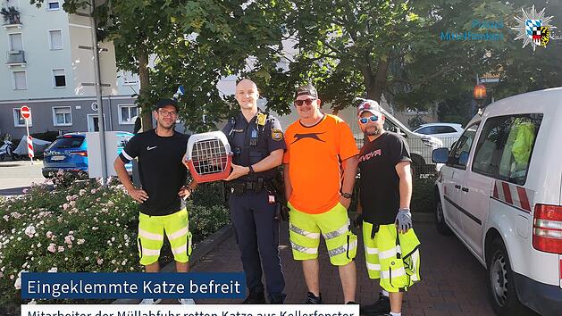 Heldenhafte Müllabfuhr-Mitarbeiter: Sie retteten eine Katze aus einem Kellerfenster