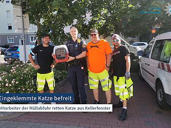 Heldenhafte Müllabfuhr-Mitarbeiter: Sie retteten eine Katze aus einem Kellerfenster Heldenhafte Müllabfuhr-Mitarbeiter: Sie retteten eine Katze aus einem Kellerfenster