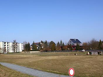 Die freie Fläche zwischen Pölz und der Oberen Au in Mainleus ist als Baugebiet vorgesehen. Foto: Jürgen Gärtner