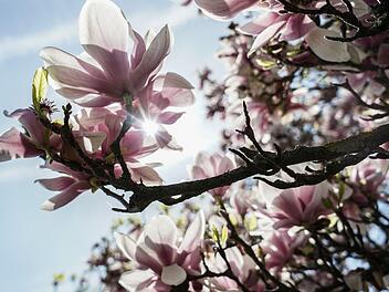 Das Wetter am 1. Mai bleibt in Franken trocken, aber mit 15 bis 17 Grad auch ziemlich k&uuml;hl. Nach dem Tag der Arbeit geht es dann so richtig los: mit hervorragenden Aussichten auf das n&auml;chste Wochenende. Symbolfoto: J&ouml;rg Carstensen/dpa