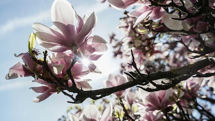 Das Wetter am 1. Mai bleibt in Franken trocken, aber mit 15 bis 17 Grad auch ziemlich k&uuml;hl. Nach dem Tag der Arbeit geht es dann so richtig los: mit hervorragenden Aussichten auf das n&auml;chste Wochenende. Symbolfoto: J&ouml;rg Carstensen/dpa