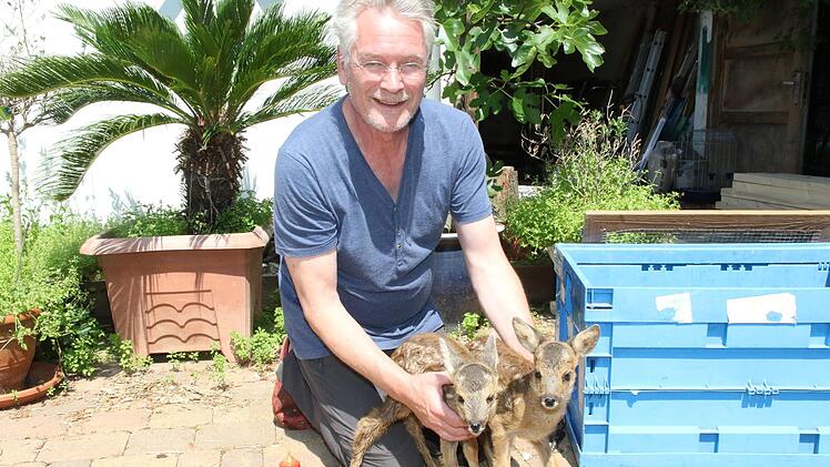 Tierarzt Joachim Lessing mit den zwei Kitzen Foto: Wolfgang Desombre