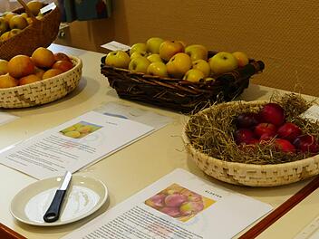 Gr&ouml;&szlig;e, Geschmack, Herkunft und Vertr&auml;glichkeit: Alles wurde bei der Schau in Reiterswiesen anschaulich erkl&auml;rt.  Foto: Dagmar Kiesel