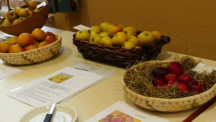 Gr&ouml;&szlig;e, Geschmack, Herkunft und Vertr&auml;glichkeit: Alles wurde bei der Schau in Reiterswiesen anschaulich erkl&auml;rt.  Foto: Dagmar Kiesel