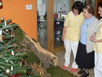 Im Caritas-Alten- und Pflegeheim St. Elisabeth in Forchheim kümmern sich Pauline Dorscht, Wohnbereichsleiterin, und Pflegerin Kristina Nastaly um Margot Stephan. Fotos: privat