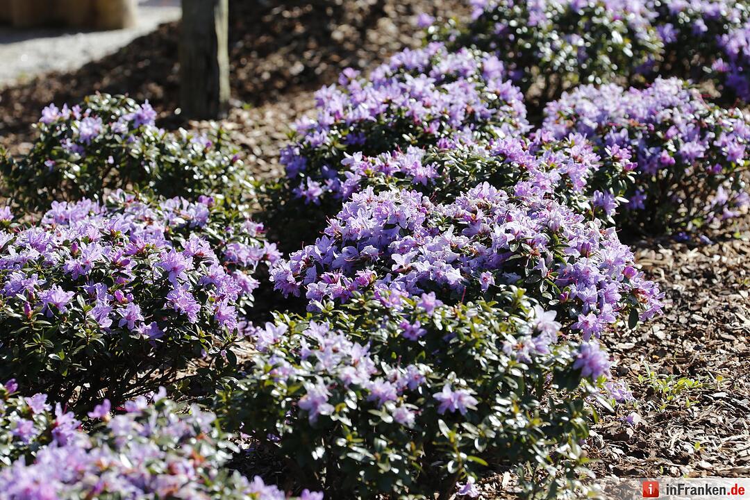 Blumen und mehr: Die Landegartenschau 2016 Bayreuth