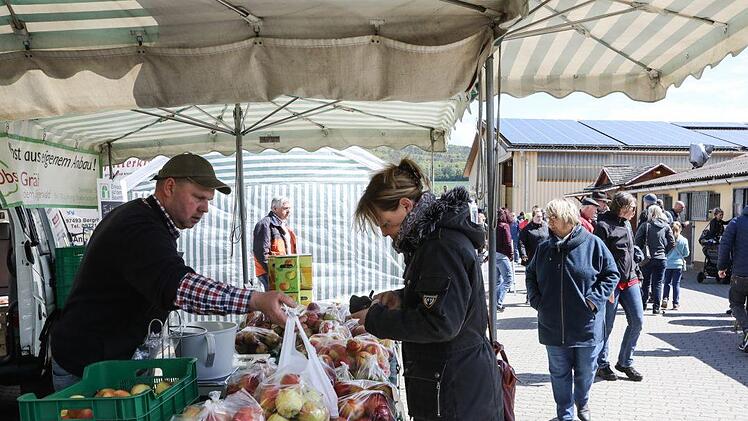Beim Pferdemarkt in MürsbachFoto: Barbara Herbst