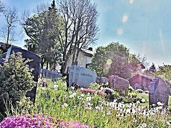 Ein Blick von unterem Eingang des Friedhofes offenbart, dass Gras und Löwenzahn die Grabstätten teilweise verdecken.  Foto: Helmut Will