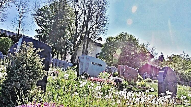 Ein Blick von unterem Eingang des Friedhofes offenbart, dass Gras und Löwenzahn die Grabstätten teilweise verdecken.  Foto: Helmut Will