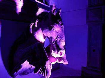 In Eyrichshof war Norbert E. Wirner beim Musikfest für die vielgelobte Ausleuchtung der alten Schloßanlage verantwortlich. Foto: Matthias Hoch