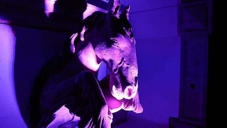 In Eyrichshof war Norbert E. Wirner beim Musikfest für die vielgelobte Ausleuchtung der alten Schloßanlage verantwortlich. Foto: Matthias Hoch