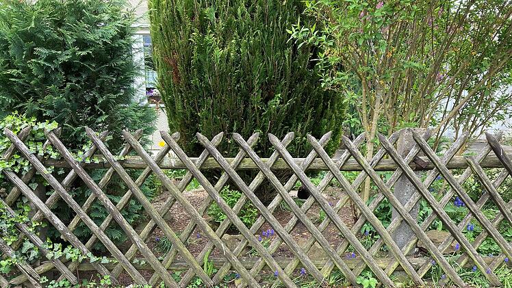 Der Zaun grenzt den Garten vom Fußgängerweg ab. Dahinter war Beagle "Benny" unterwegs und verschwand plötzlich. Foto: Charlotte Wittnebel-Schmitz