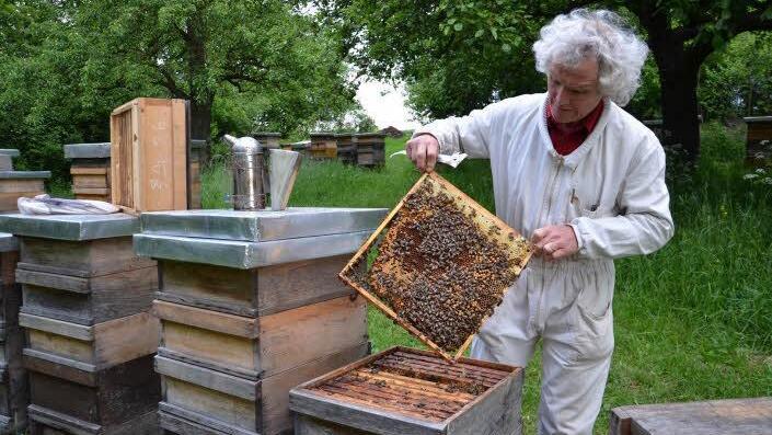 Bio-Imker Robert Müller aus Gossenberg betreut mit seiner Frau Manuela rund 80 Bienenvölker. Foto: Cordelia Hiller