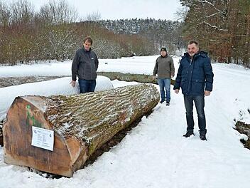 Ralf Keller, Manfred Herter und Wolfgang Schultheiß (von links) präsentieren die Braut, den teuersten Eichenstamm der Submission, der aus dem Wald von Gut Ziegelsdorf kommt. Foto: Rainer Lutz