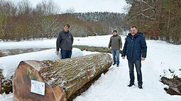 Ralf Keller, Manfred Herter und Wolfgang Schultheiß (von links) präsentieren die Braut, den teuersten Eichenstamm der Submission, der aus dem Wald von Gut Ziegelsdorf kommt. Foto: Rainer Lutz