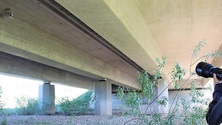 Jan Ebert beobachtet die Vögel, die in den neuen Nistkasten unterhalb der Maintalbrücke bei Kösten eingezogen sind.  Foto: Jutta Rudel