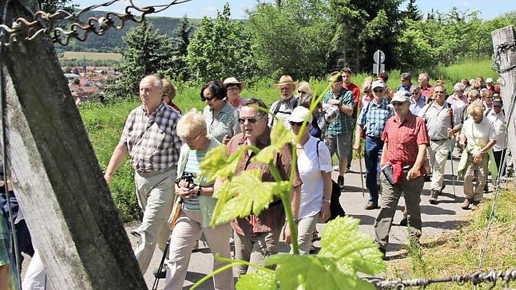 Aus ganz Unter- und Oberfranken kamen die Teilnehmer der Leserwanderung durch die Hammelburger Weinberge.