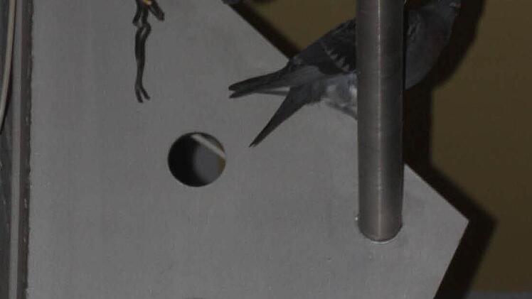 Besuch im Kreiskulturraum. Foto: Marco Meißner