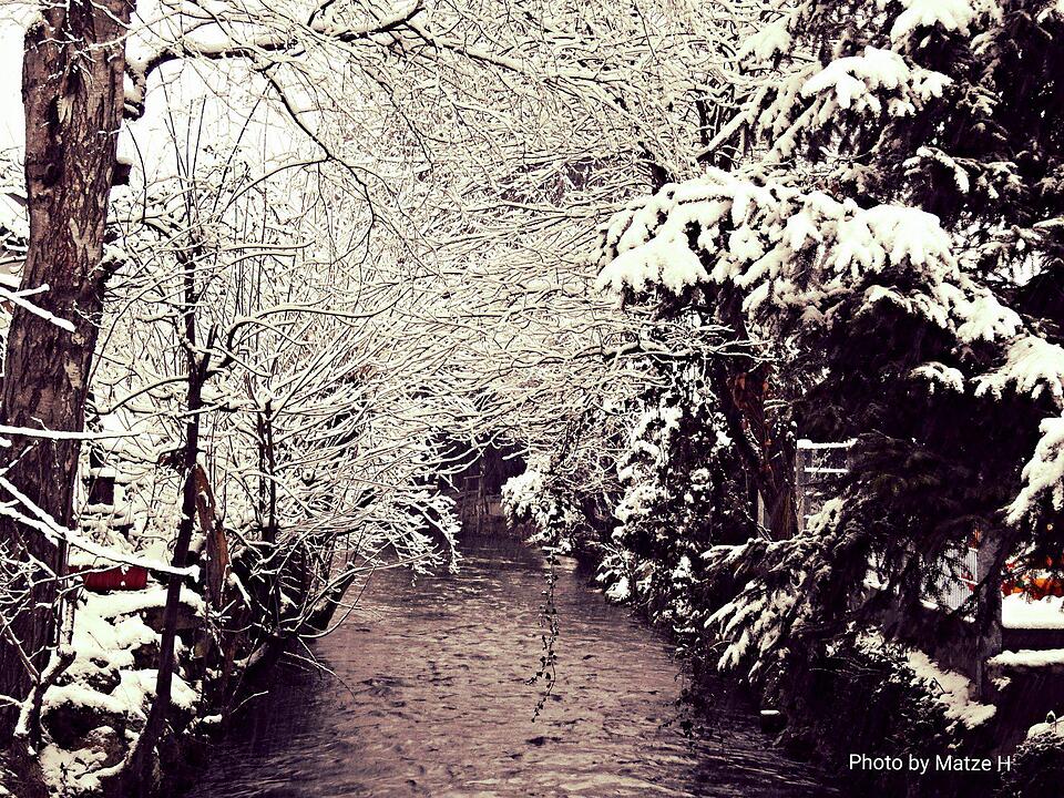 Schnee und Eis - Die schönsten Aufnahmen aus Franken