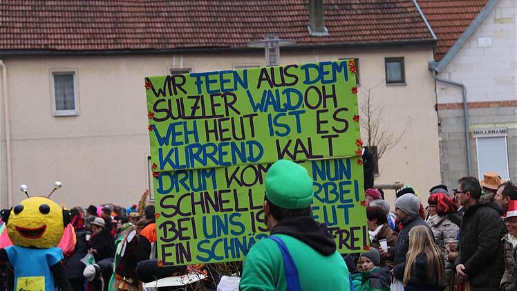 Faschingsumzug in Sulzthal Foto: .Gerd Schaar