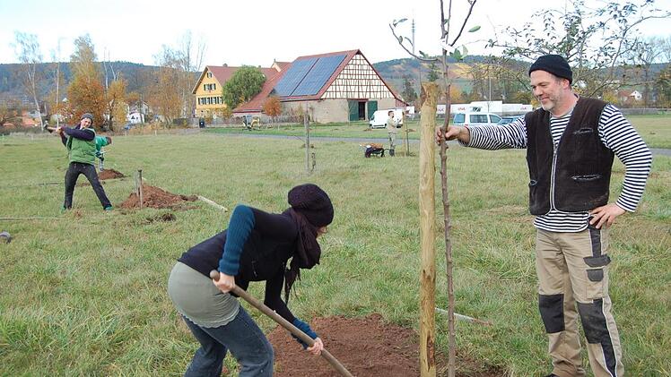 Peter Bethäuser pflanzt an seinem Zirkus Luna in Westheim eine Streuobstwiese.  Foto: Wolfgang Dümnebier