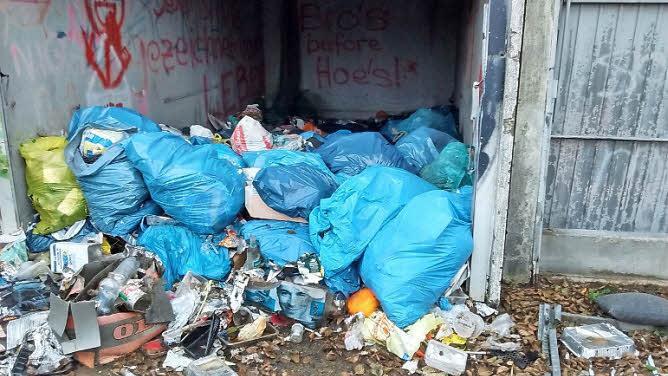 In regelmäßigen Abständen säubern die Mitglieder des Kleinsendelbacher Fischereivereins die Gewässer der Umgebung.  Fotos: privat