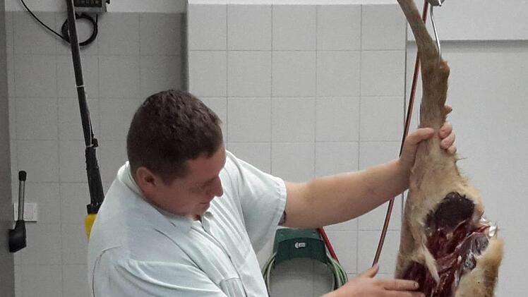 Genau in Augenschein nimmt Metzgergeselle Nico Böhm ein Stück Rehwild. Dabei überprüft er unter anderem auch den Reifegrad des Fleisches. Foto; Rolf Pralle