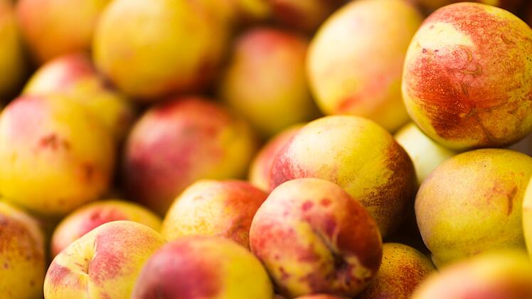 Nektarinen sind sehr gesund: Viele positive Effekte auf den Körper
