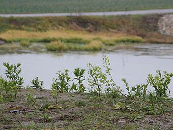 Zwei Wasserrückhaltebecken hat die Stadt oberhalb von Schmachtenberg gebaut. Die beiden Anlagen verbessern den Hochwasserschutz im Zeiler Stadtteil.  Fotos: Andreas Lösch