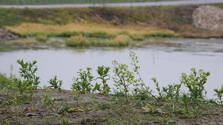 Zwei Wasserrückhaltebecken hat die Stadt oberhalb von Schmachtenberg gebaut. Die beiden Anlagen verbessern den Hochwasserschutz im Zeiler Stadtteil.  Fotos: Andreas Lösch