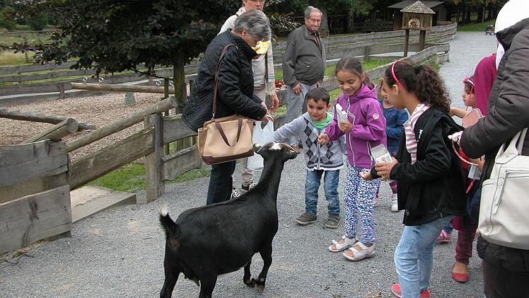 Die zahmen Ziegen fl&ouml;&szlig;ten nur anfangs ein bisschen Respekt ein.  Fotos: Karin Reinshagen
