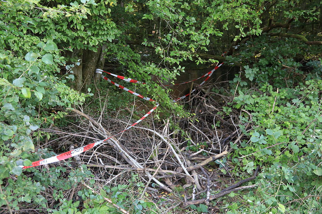Kreis Main-Spessart: Geocacher stoßen im Wald auf menschliches Skelett