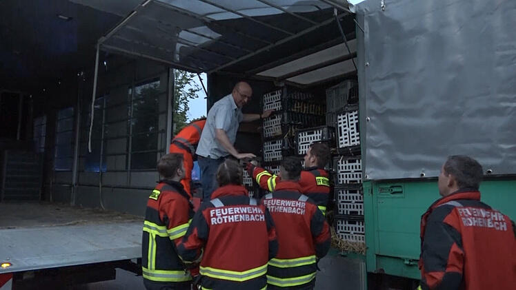 Auffahrunfall mit Lastwagen: Helfer müssen 700 lebende Hühner umladen