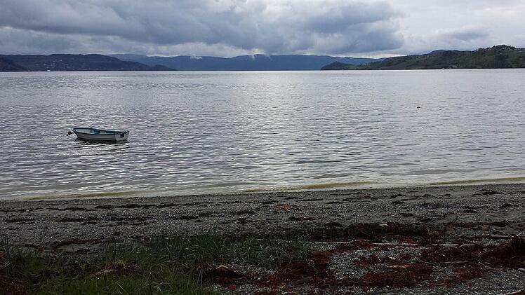 An der Küste bei Trondheim