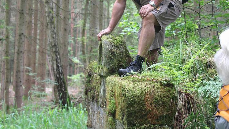 Leserwanderung im Hauptsmoorwald. Foto: Michael Memmel