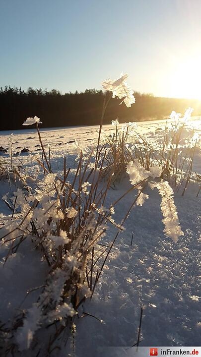 Eis und Schnee in Franken - die schönsten Winterleserfotos