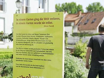 "In einem Garten ging die Welt verloren, in einem Garten wurde sie erlöst." Mit diesem Zitat von Blaise Pascal werden die Besucher des neuen Bibelgartens in Haßfurt begrüßt.  Fotos: Sabine Weinbeer